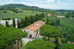 Antichi Palmenti - Corbezzolo San Vincenzo